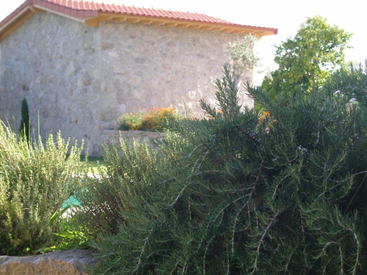 Eido Da Portela - Casa De Campo Carregadouro Kültér fotó
